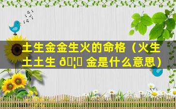 土生金金生火的命格（火生土土生 🦁 金是什么意思）